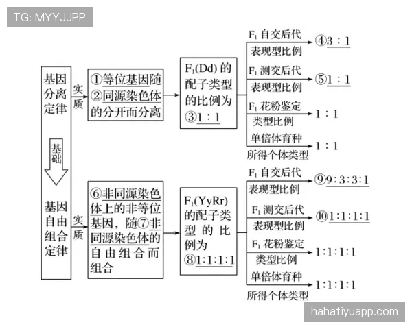手部接触判定怎么算？讲解核心规则与判罚标准