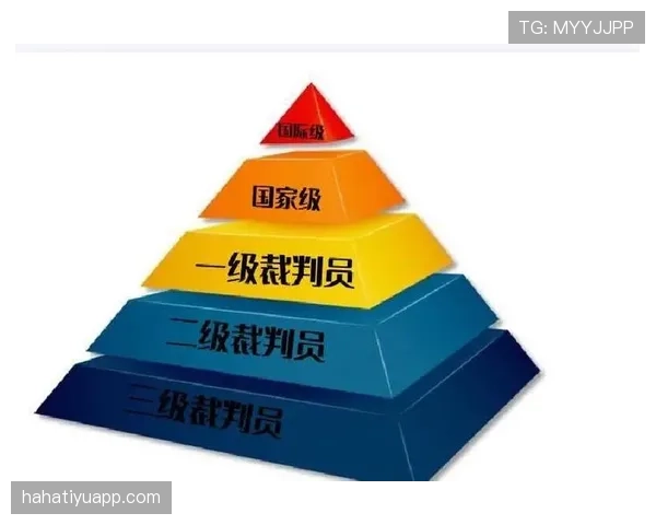 篮球比赛中裁判如何做出判罚流程？完整步骤解析