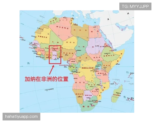 加纳世界杯L组全方位深度解析 加纳世界杯L组全方位深度解析